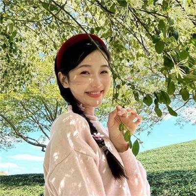 爆笑虫子 第一季
