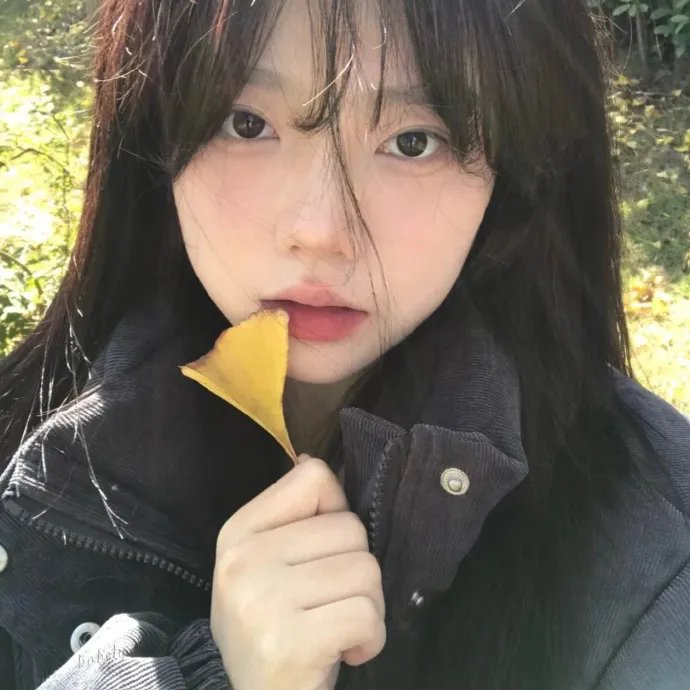 琴麻岛的海